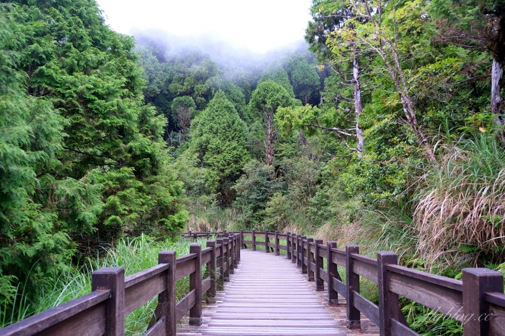 宜蘭大同｜太平山翠峰湖，全球第一條最寂靜的森林山徑，台灣最大的高山湖泊翠峰湖 @飛天璇的口袋