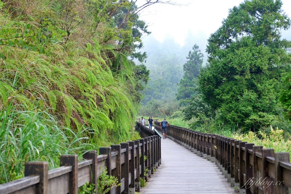 宜蘭大同｜太平山翠峰湖，全球第一條最寂靜的森林山徑，台灣最大的高山湖泊翠峰湖 @飛天璇的口袋