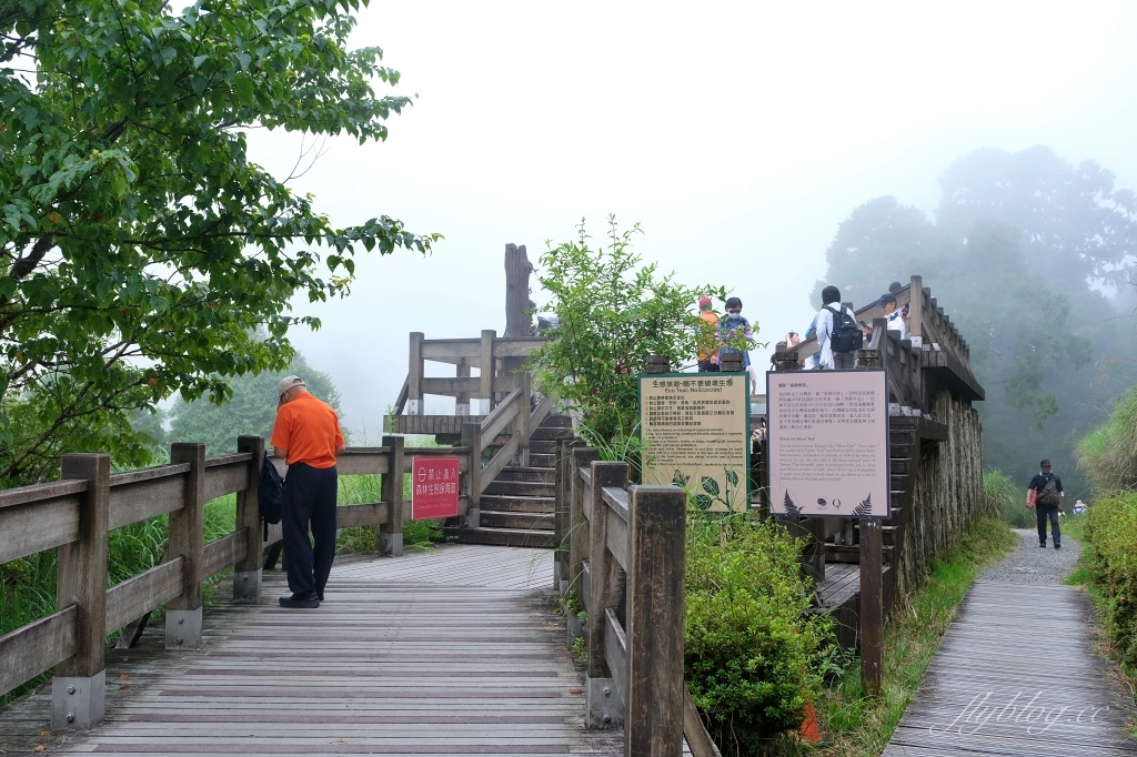 宜蘭大同｜太平山翠峰湖，全球第一條最寂靜的森林山徑，台灣最大的高山湖泊翠峰湖 @飛天璇的口袋