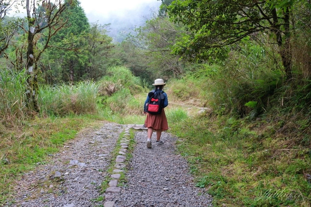 宜蘭大同｜太平山翠峰湖，全球第一條最寂靜的森林山徑，台灣最大的高山湖泊翠峰湖 @飛天璇的口袋