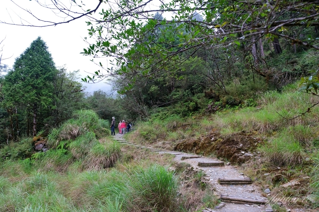 宜蘭大同｜太平山翠峰湖，全球第一條最寂靜的森林山徑，台灣最大的高山湖泊翠峰湖 @飛天璇的口袋