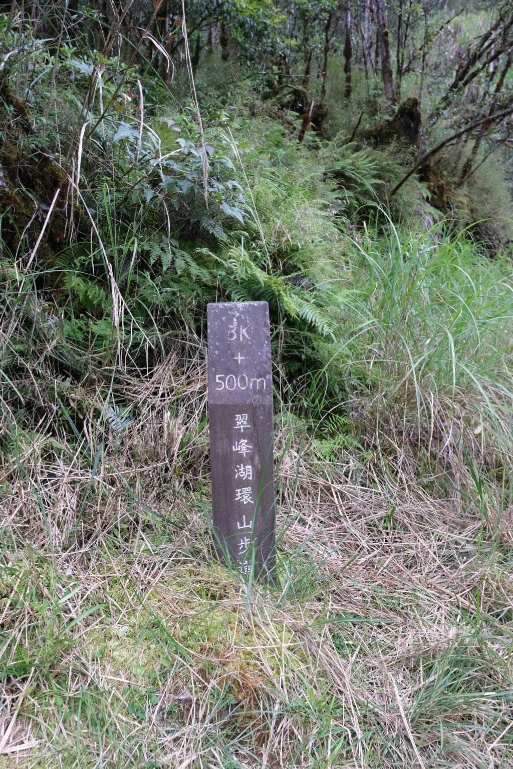 宜蘭大同｜太平山翠峰湖，全球第一條最寂靜的森林山徑，台灣最大的高山湖泊翠峰湖 @飛天璇的口袋