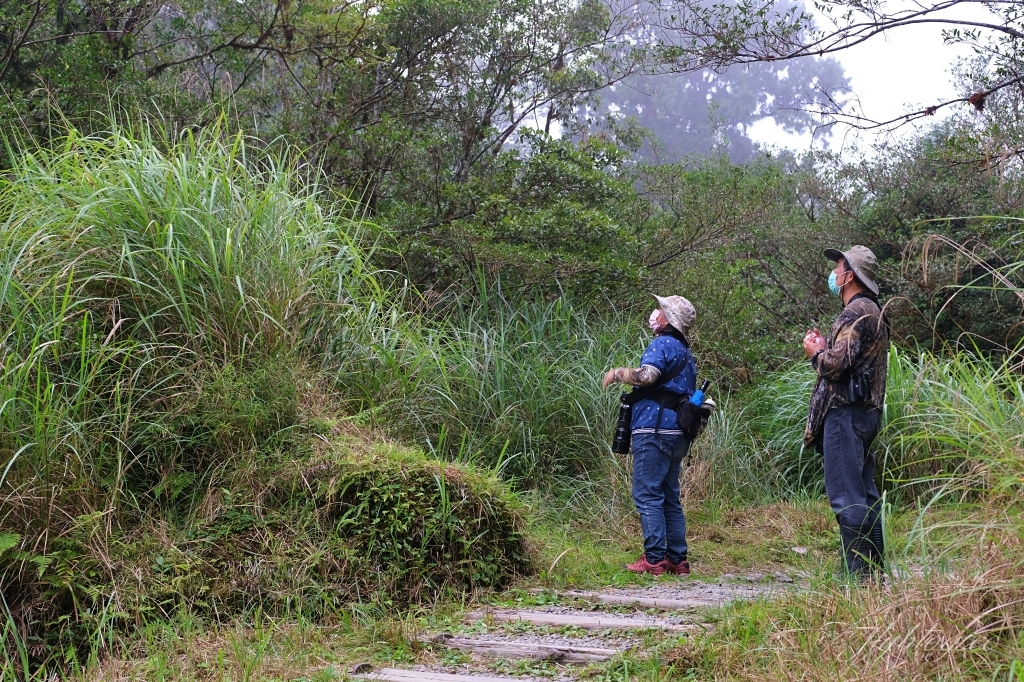 宜蘭大同｜太平山翠峰湖，全球第一條最寂靜的森林山徑，台灣最大的高山湖泊翠峰湖 @飛天璇的口袋