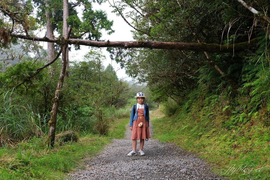 宜蘭大同｜太平山翠峰湖，全球第一條最寂靜的森林山徑，台灣最大的高山湖泊翠峰湖 @飛天璇的口袋