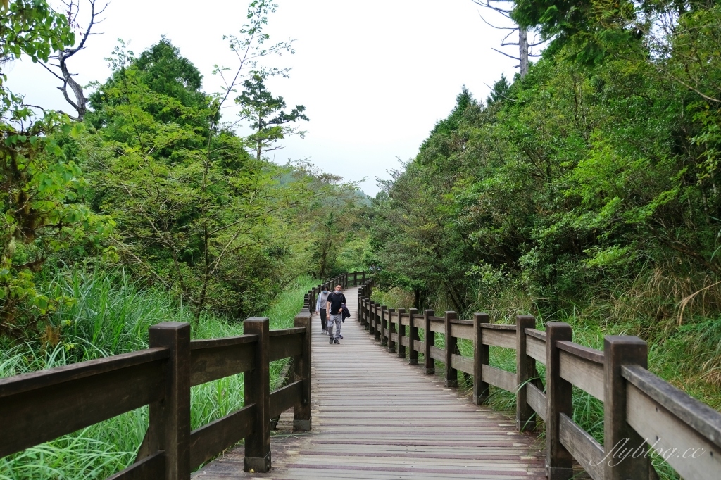 宜蘭大同｜太平山翠峰湖，全球第一條最寂靜的森林山徑，台灣最大的高山湖泊翠峰湖 @飛天璇的口袋