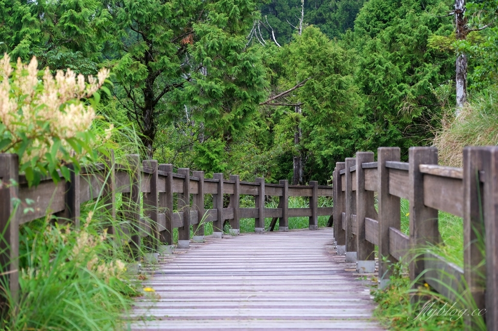 宜蘭大同｜太平山翠峰湖，全球第一條最寂靜的森林山徑，台灣最大的高山湖泊翠峰湖 @飛天璇的口袋