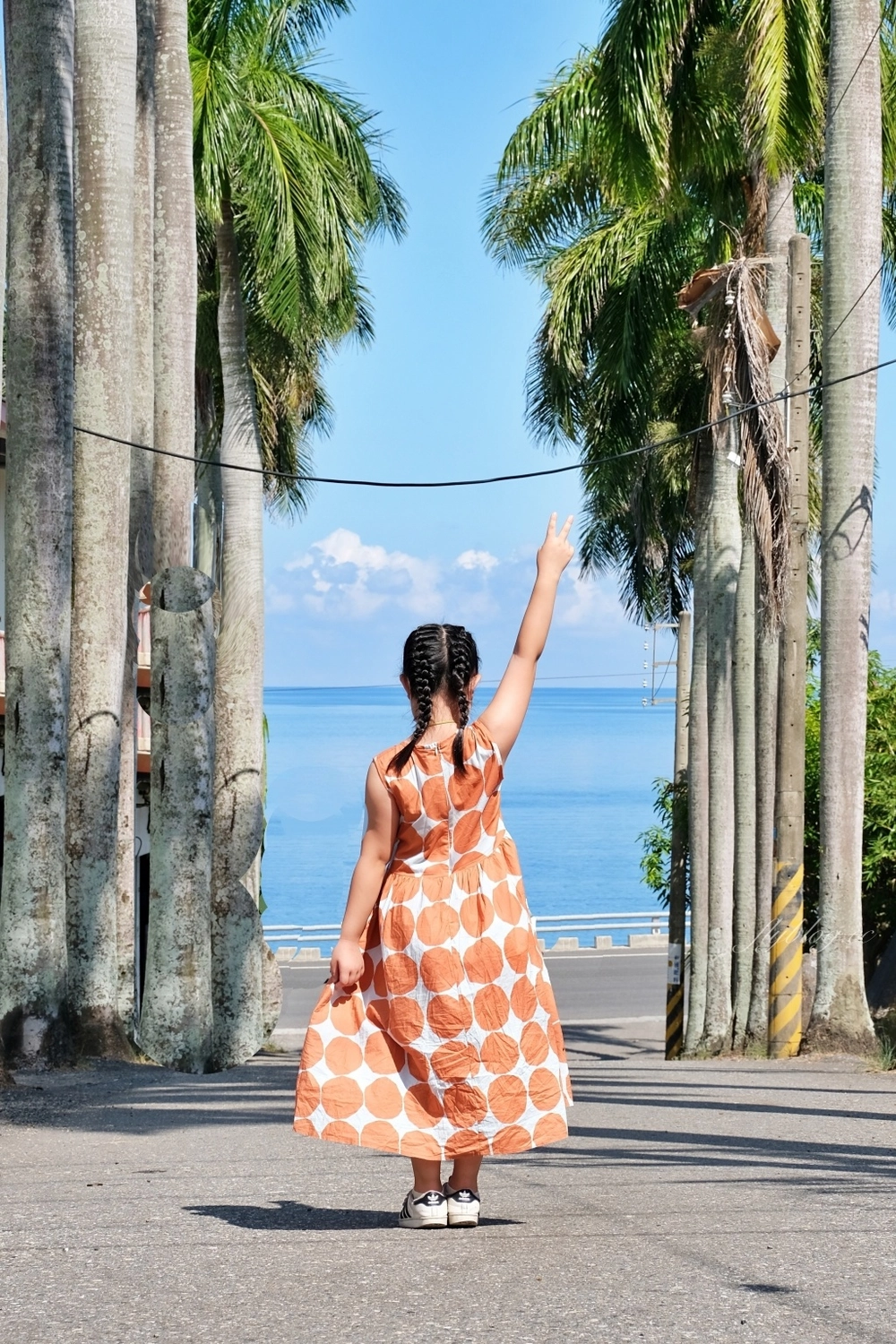 台東景點｜華源椰林大道，整排筆直椰林大道，直通太平洋的海天一色 @飛天璇的口袋