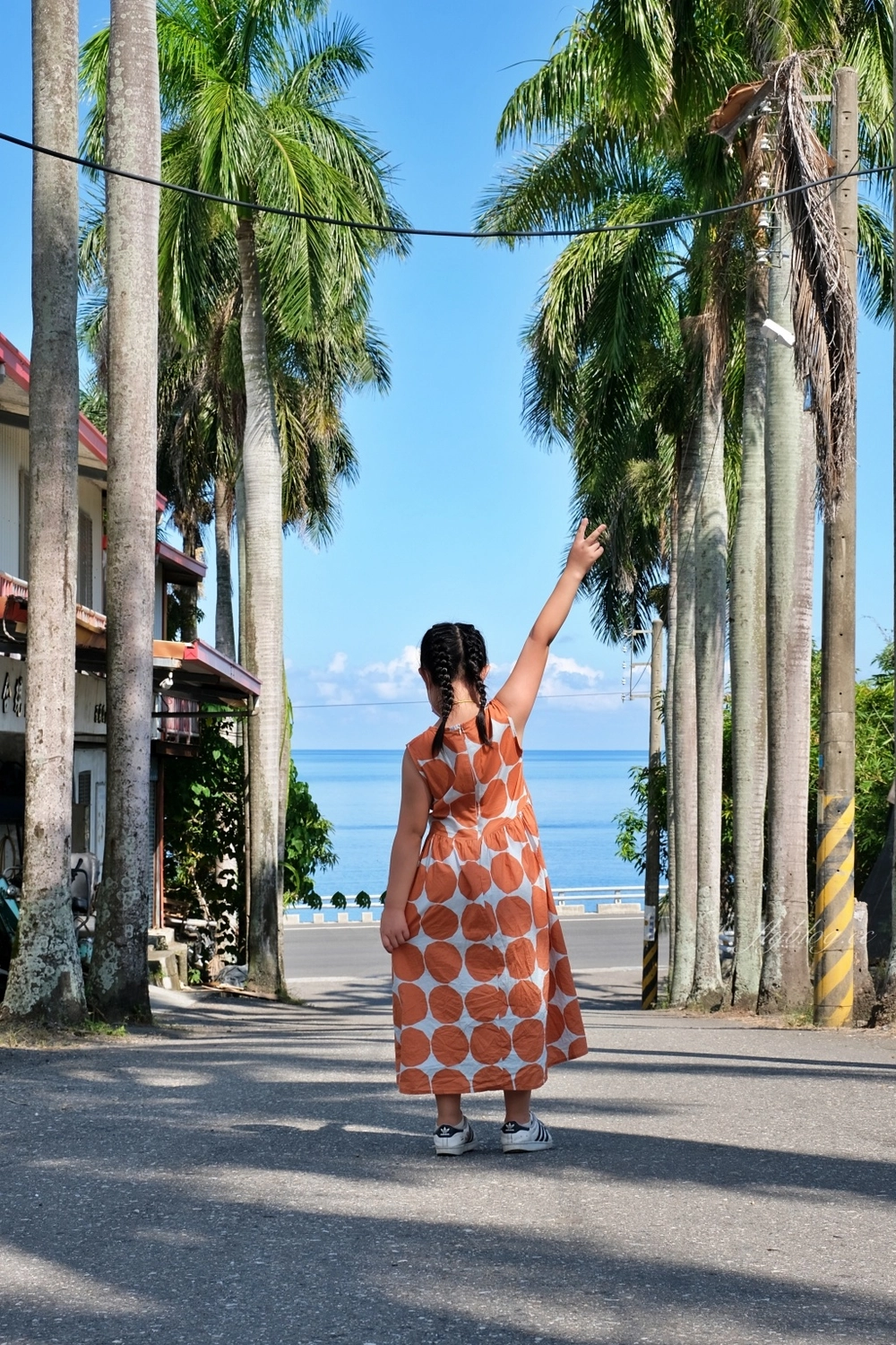 台東景點｜華源椰林大道，整排筆直椰林大道，直通太平洋的海天一色 @飛天璇的口袋