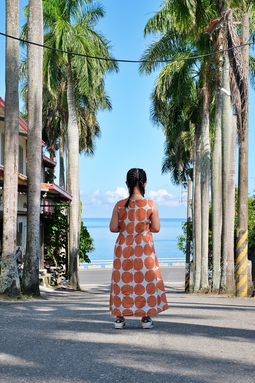台東景點｜華源椰林大道，整排筆直椰林大道，直通太平洋的海天一色 @飛天璇的口袋