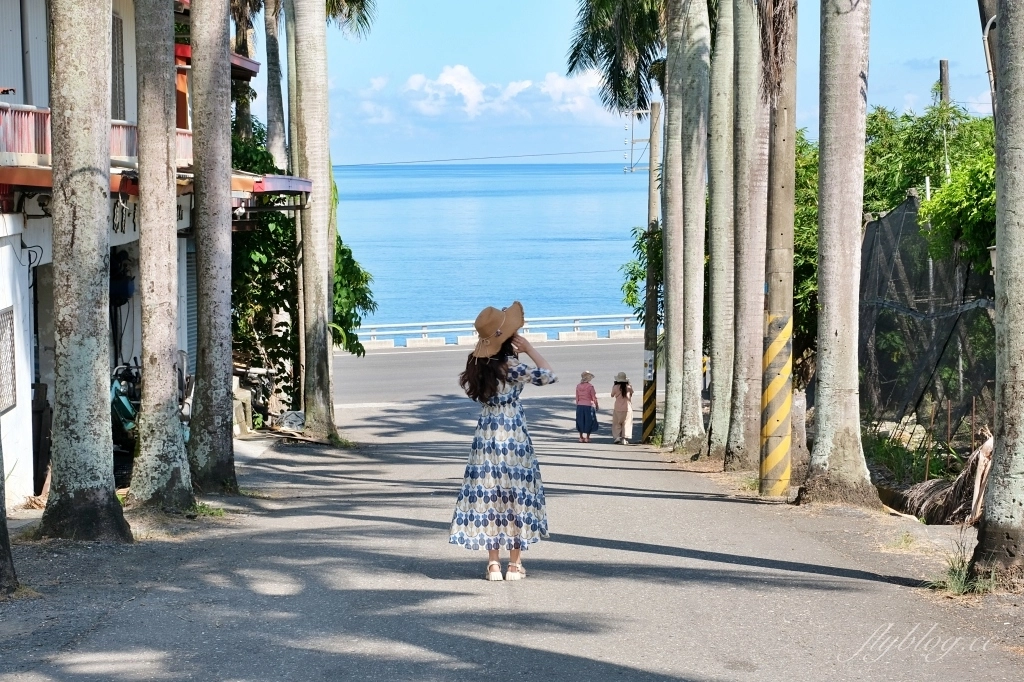 台東景點｜華源椰林大道，整排筆直椰林大道，直通太平洋的海天一色 @飛天璇的口袋