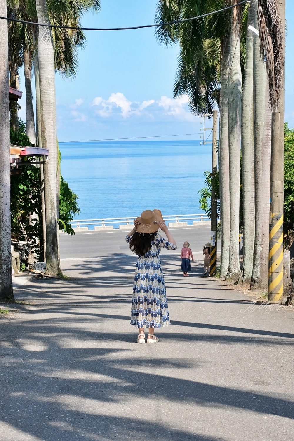 台東景點｜華源椰林大道，整排筆直椰林大道，直通太平洋的海天一色 @飛天璇的口袋