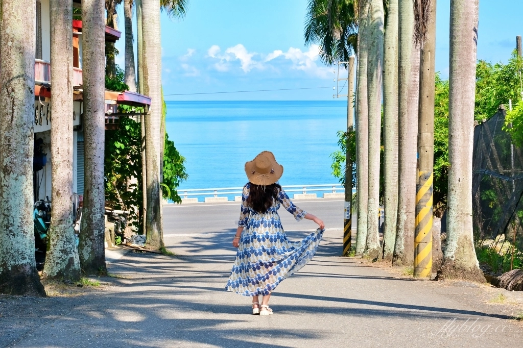 台東景點｜華源椰林大道，整排筆直椰林大道，直通太平洋的海天一色 @飛天璇的口袋
