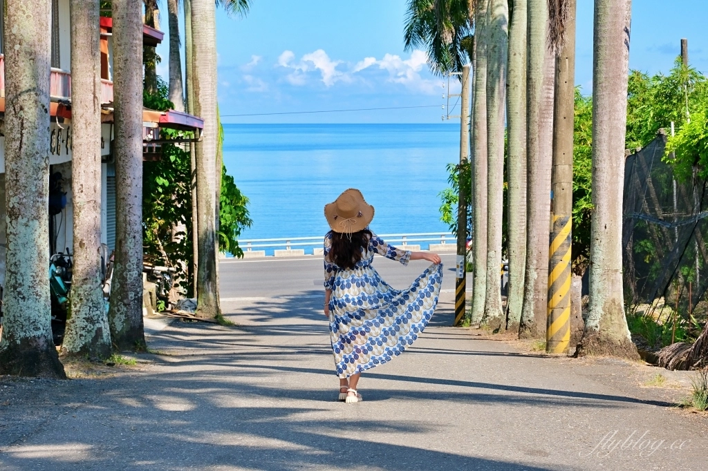 台東景點｜華源椰林大道，整排筆直椰林大道，直通太平洋的海天一色 @飛天璇的口袋