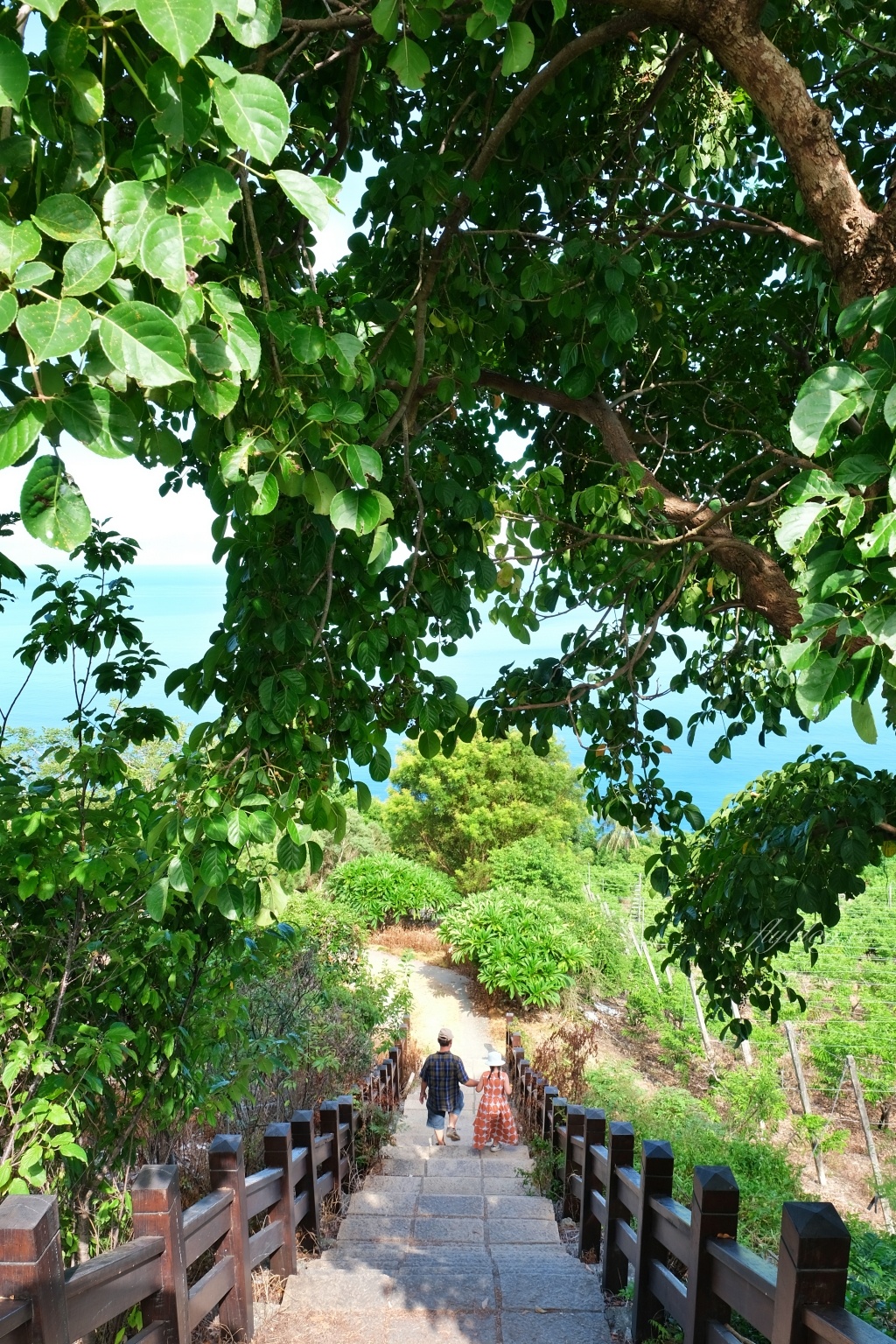 台東太麻里｜華源觀景台天空之鏡，IG必拍海天一色的台東秘境(附詳細路線) @飛天璇的口袋