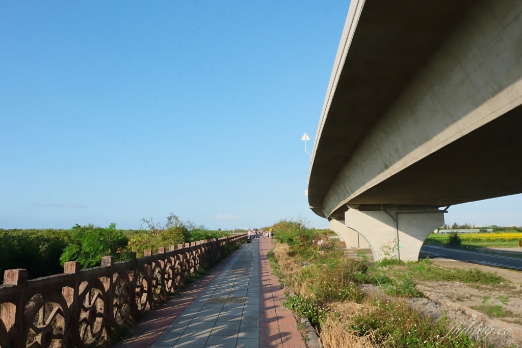 彰化芳苑｜芳苑濕地海空步道．紅樹林潮間帶濕地豐富生態，搭乘鐵牛車賞夕陽美景 @飛天璇的口袋
