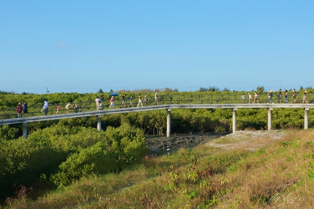 彰化芳苑｜芳苑濕地海空步道．紅樹林潮間帶濕地豐富生態，搭乘鐵牛車賞夕陽美景 @飛天璇的口袋