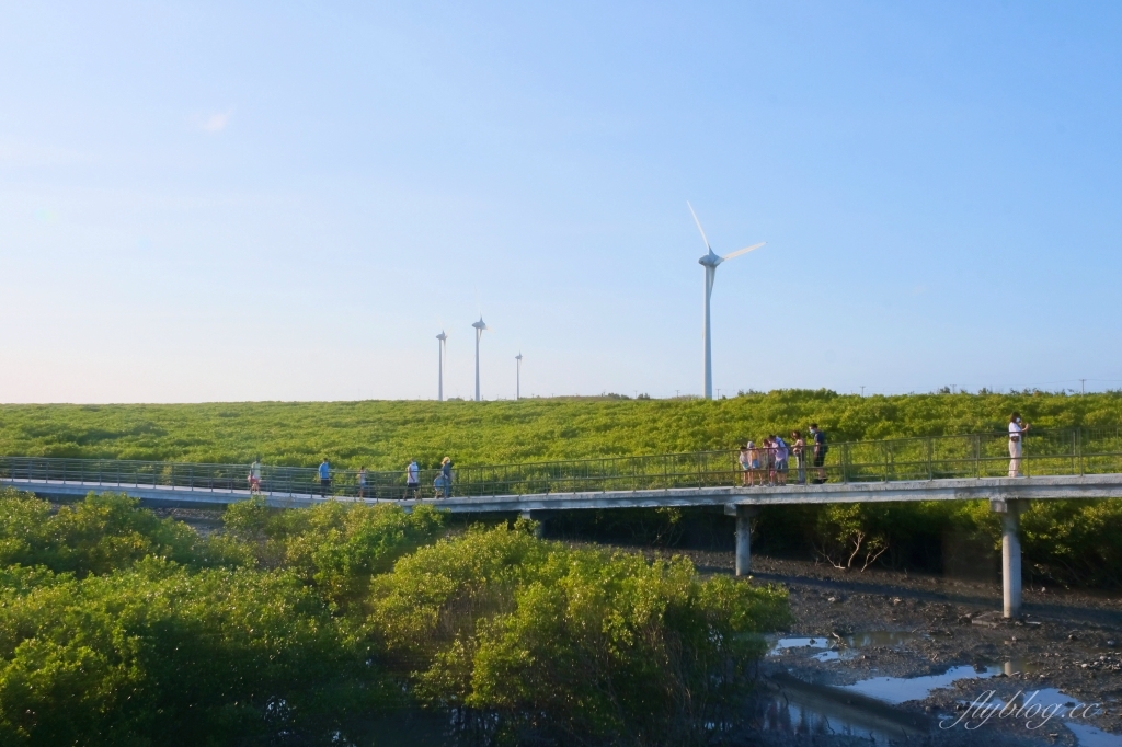 彰化芳苑｜芳苑濕地海空步道．紅樹林潮間帶濕地豐富生態，搭乘鐵牛車賞夕陽美景 @飛天璇的口袋