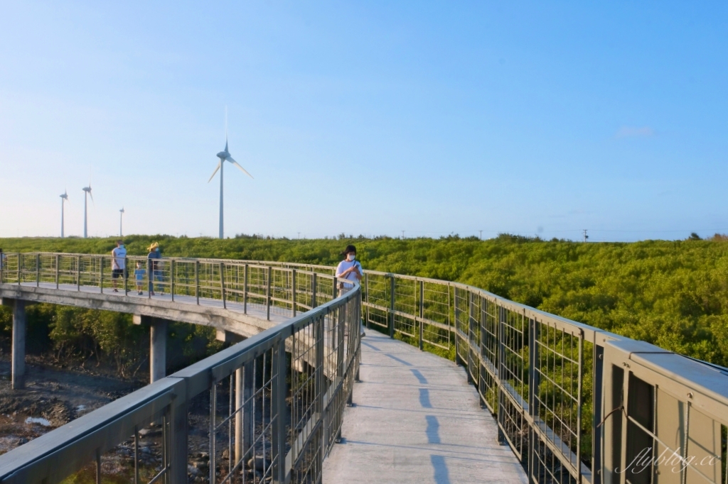 彰化芳苑｜芳苑濕地海空步道．紅樹林潮間帶濕地豐富生態，搭乘鐵牛車賞夕陽美景 @飛天璇的口袋