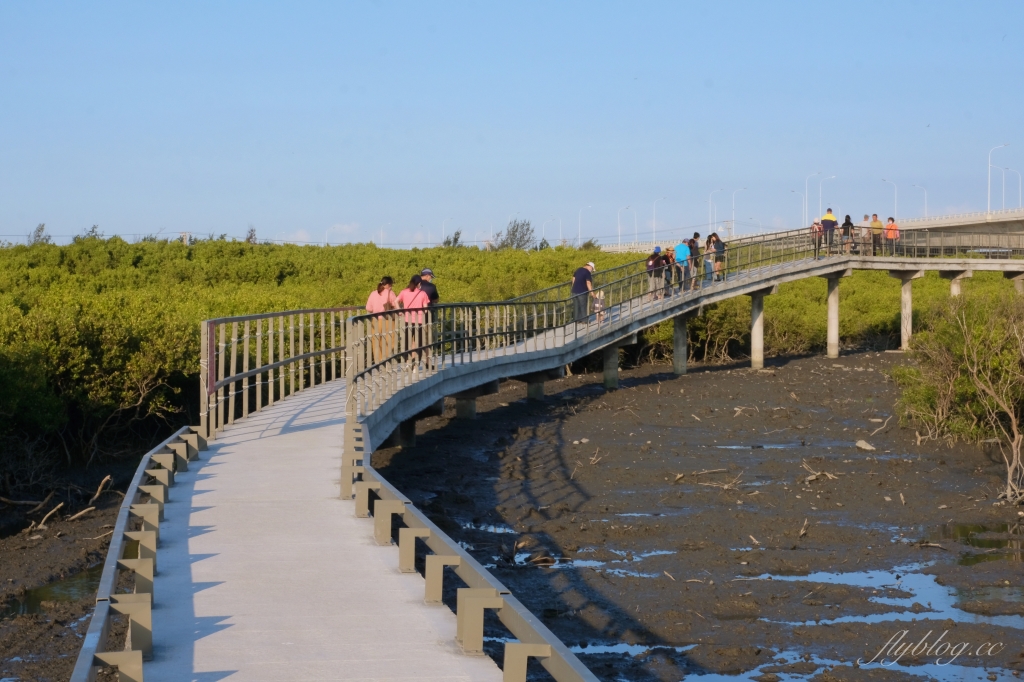 彰化芳苑｜芳苑濕地海空步道．紅樹林潮間帶濕地豐富生態，搭乘鐵牛車賞夕陽美景 @飛天璇的口袋