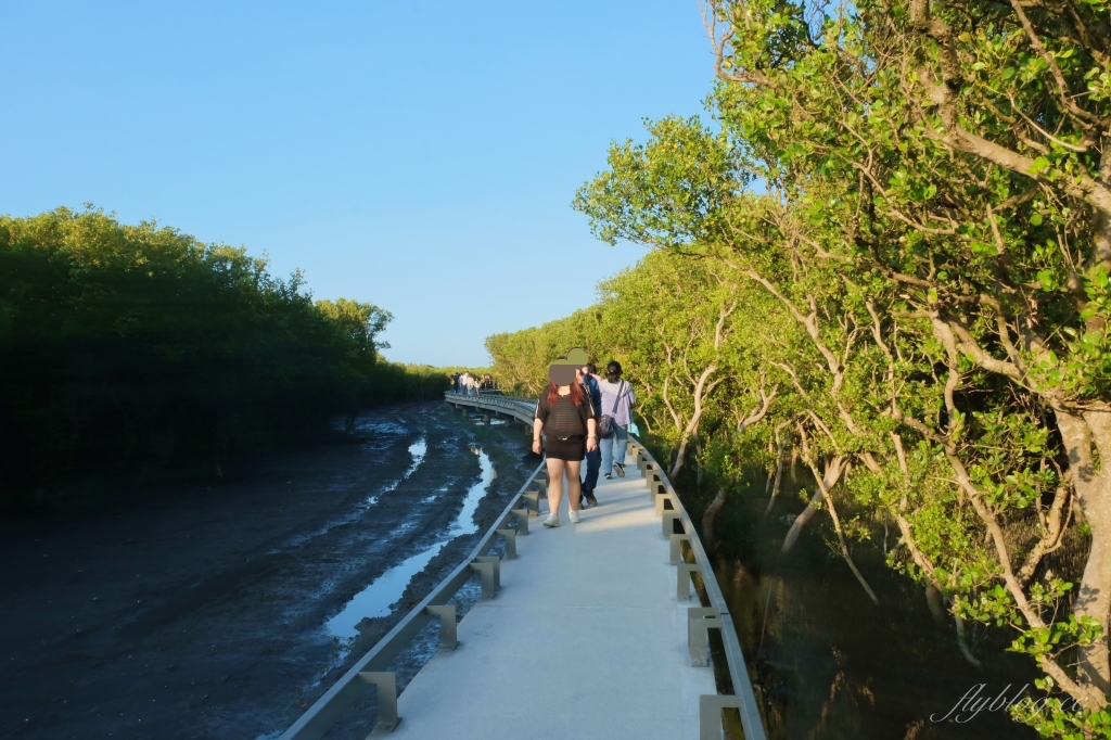 彰化芳苑｜芳苑濕地海空步道．紅樹林潮間帶濕地豐富生態，搭乘鐵牛車賞夕陽美景 @飛天璇的口袋