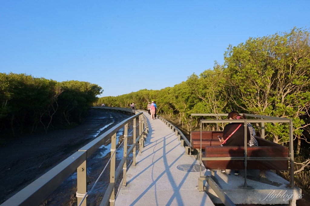 彰化芳苑｜芳苑濕地海空步道．紅樹林潮間帶濕地豐富生態，搭乘鐵牛車賞夕陽美景 @飛天璇的口袋