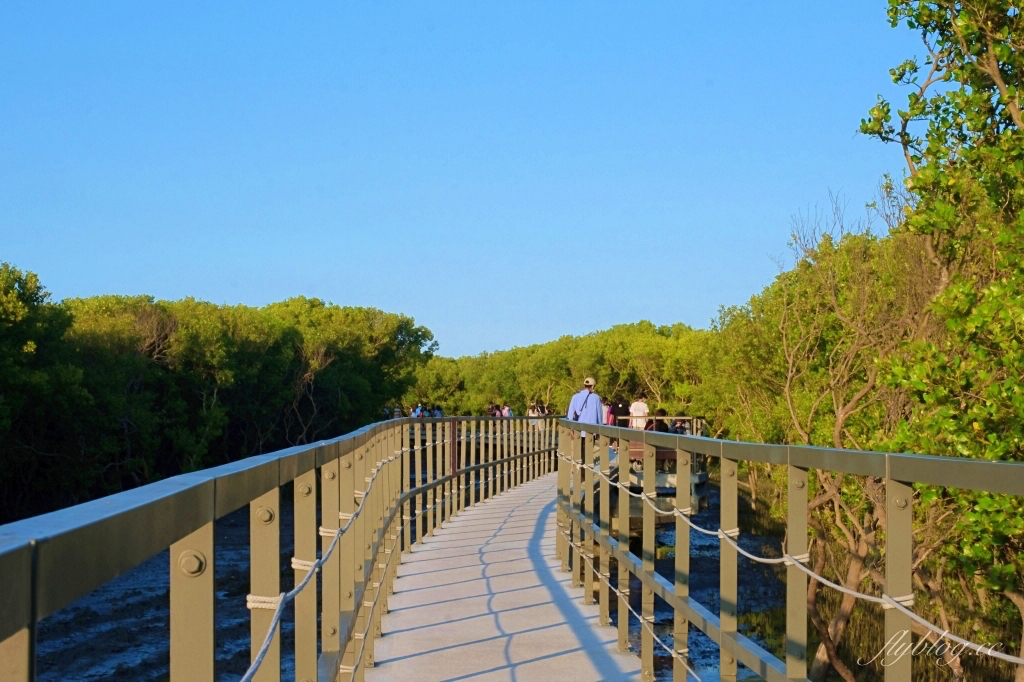 彰化芳苑｜芳苑濕地海空步道．紅樹林潮間帶濕地豐富生態，搭乘鐵牛車賞夕陽美景 @飛天璇的口袋