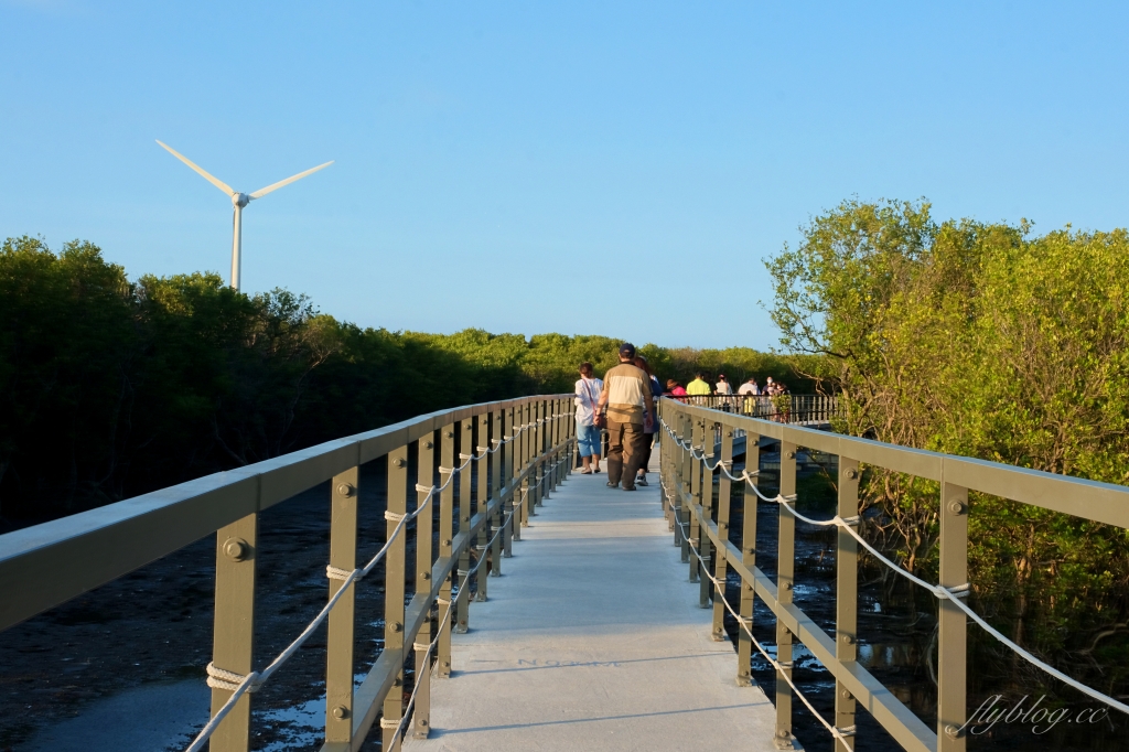 彰化芳苑｜芳苑濕地海空步道．紅樹林潮間帶濕地豐富生態，搭乘鐵牛車賞夕陽美景 @飛天璇的口袋