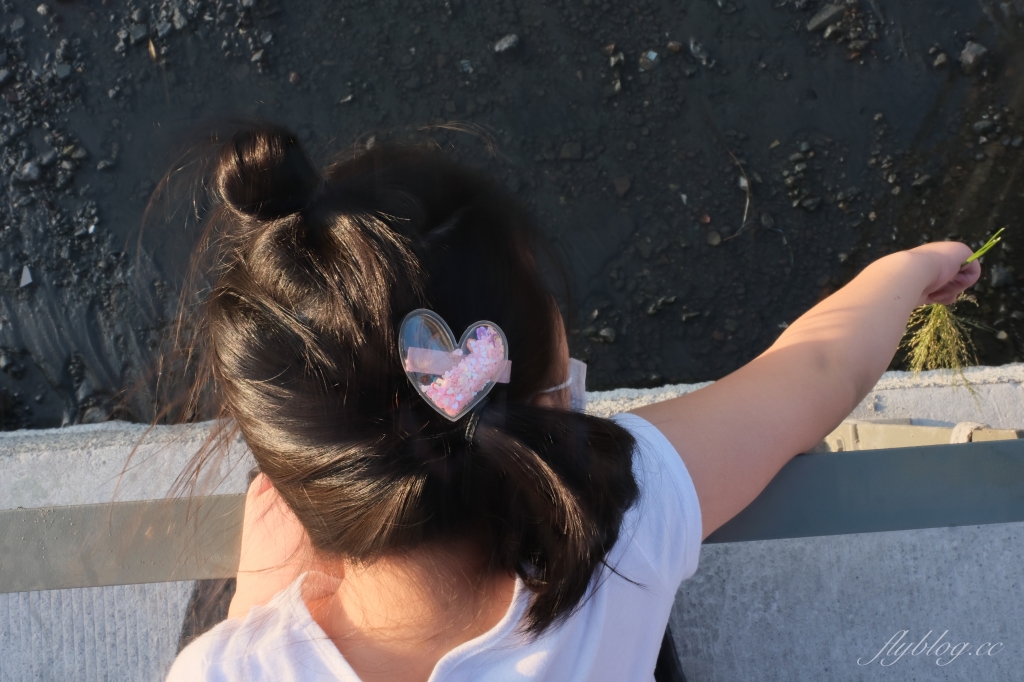 彰化芳苑｜芳苑濕地海空步道．紅樹林潮間帶濕地豐富生態，搭乘鐵牛車賞夕陽美景 @飛天璇的口袋