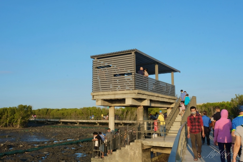 彰化芳苑｜芳苑濕地海空步道．紅樹林潮間帶濕地豐富生態，搭乘鐵牛車賞夕陽美景 @飛天璇的口袋