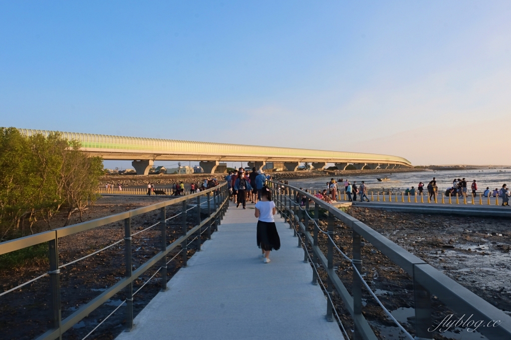 彰化芳苑｜芳苑濕地海空步道．紅樹林潮間帶濕地豐富生態，搭乘鐵牛車賞夕陽美景 @飛天璇的口袋