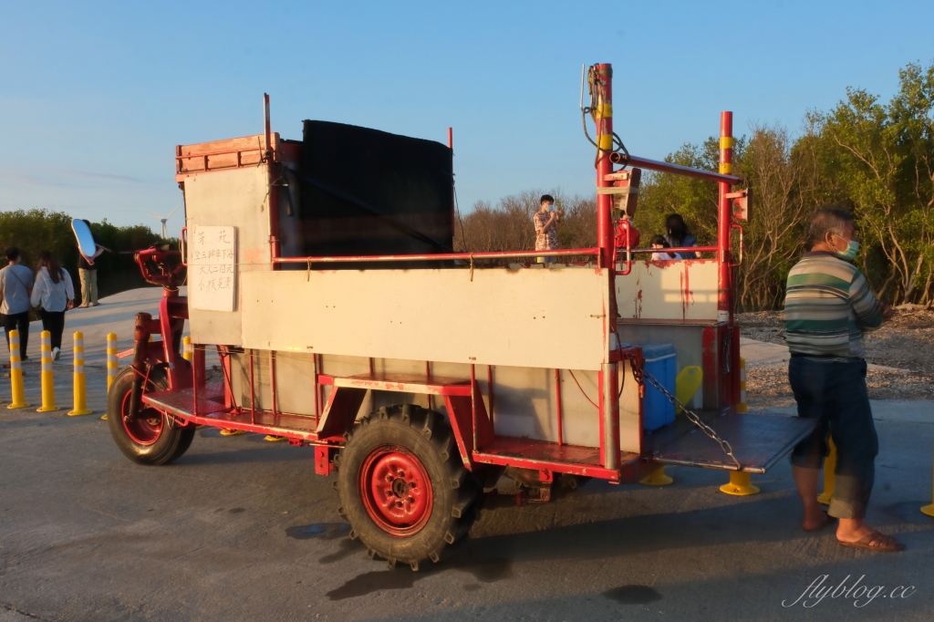 彰化芳苑｜芳苑濕地海空步道．紅樹林潮間帶濕地豐富生態，搭乘鐵牛車賞夕陽美景 @飛天璇的口袋