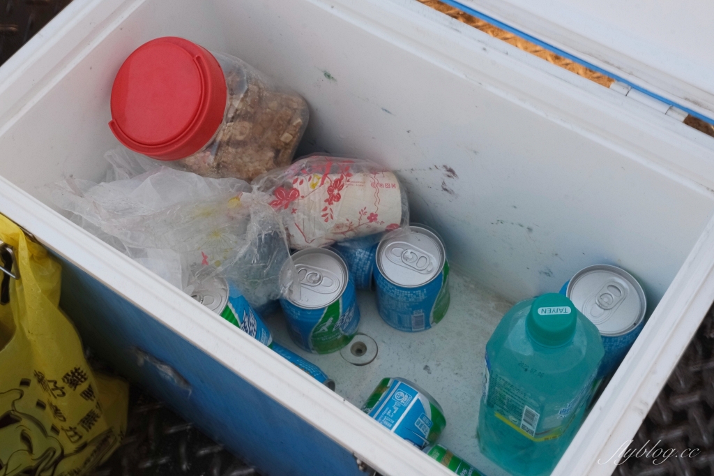 彰化芳苑｜芳苑濕地海空步道．紅樹林潮間帶濕地豐富生態，搭乘鐵牛車賞夕陽美景 @飛天璇的口袋