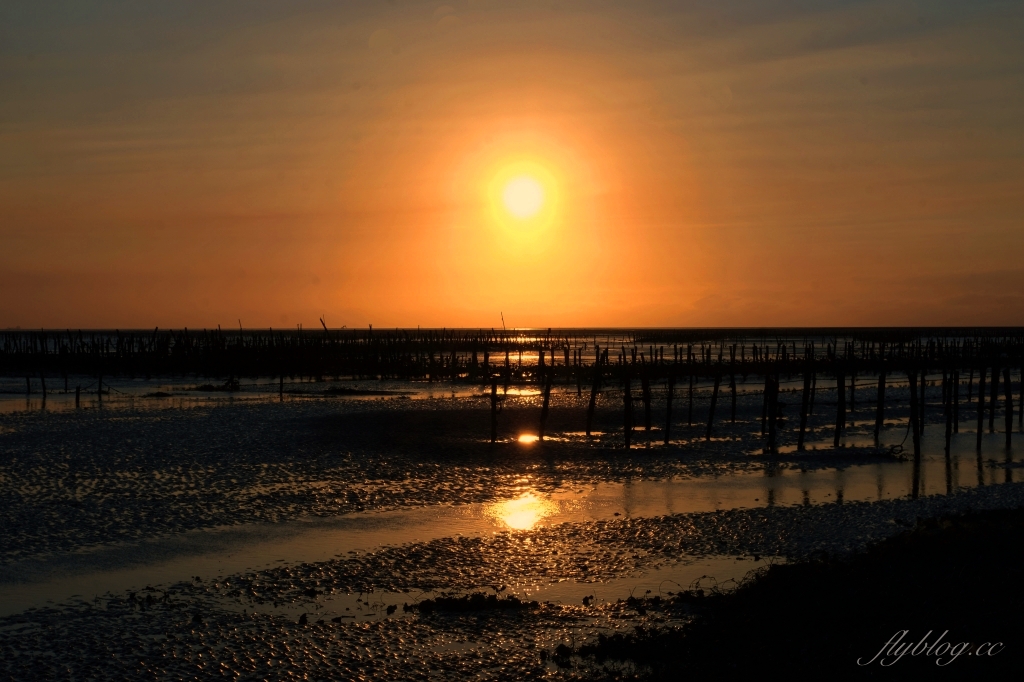 彰化芳苑｜芳苑濕地海空步道．紅樹林潮間帶濕地豐富生態，搭乘鐵牛車賞夕陽美景 @飛天璇的口袋