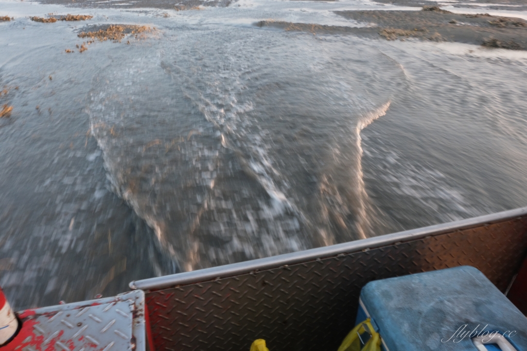 彰化芳苑｜芳苑濕地海空步道．紅樹林潮間帶濕地豐富生態，搭乘鐵牛車賞夕陽美景 @飛天璇的口袋