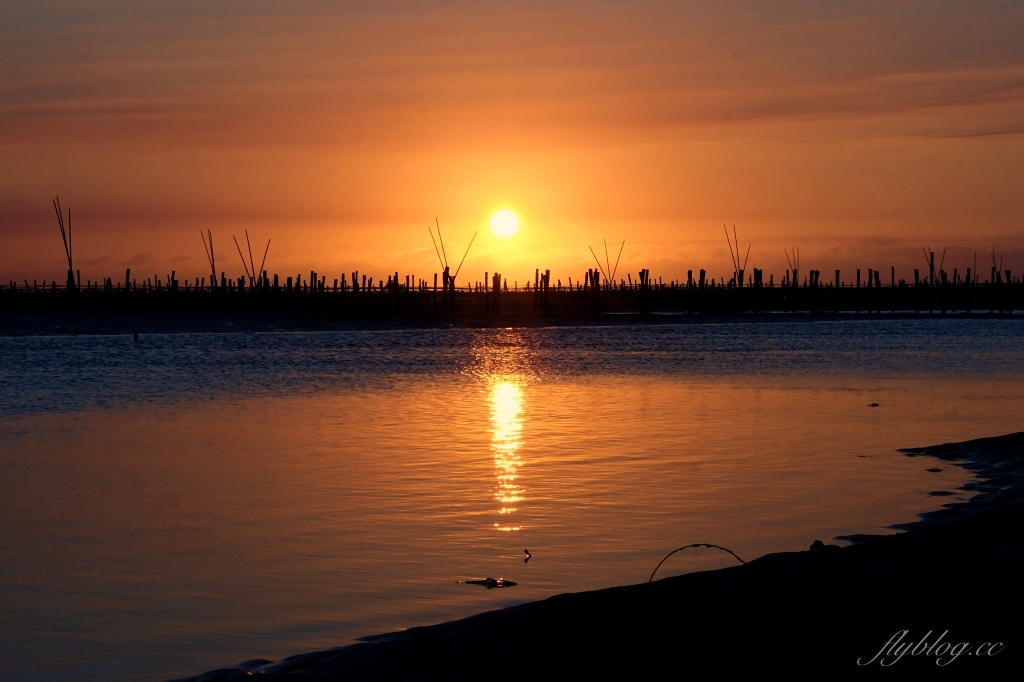 彰化芳苑｜芳苑濕地海空步道．紅樹林潮間帶濕地豐富生態，搭乘鐵牛車賞夕陽美景 @飛天璇的口袋