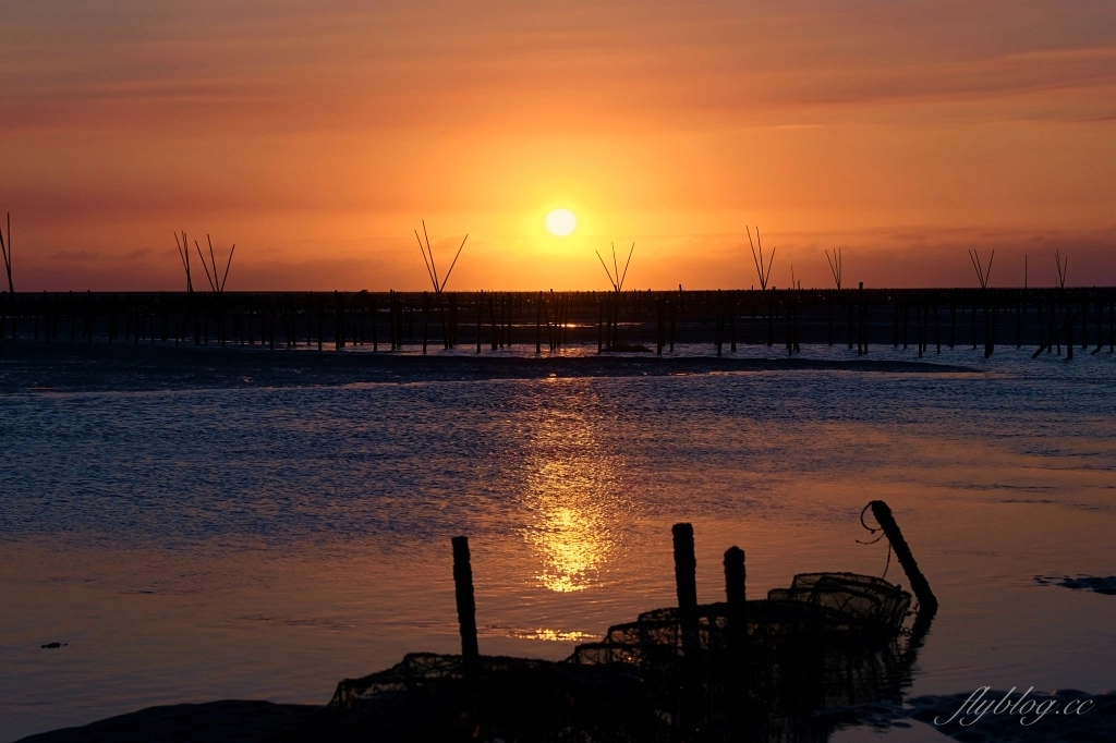 彰化芳苑｜芳苑濕地海空步道．紅樹林潮間帶濕地豐富生態，搭乘鐵牛車賞夕陽美景 @飛天璇的口袋