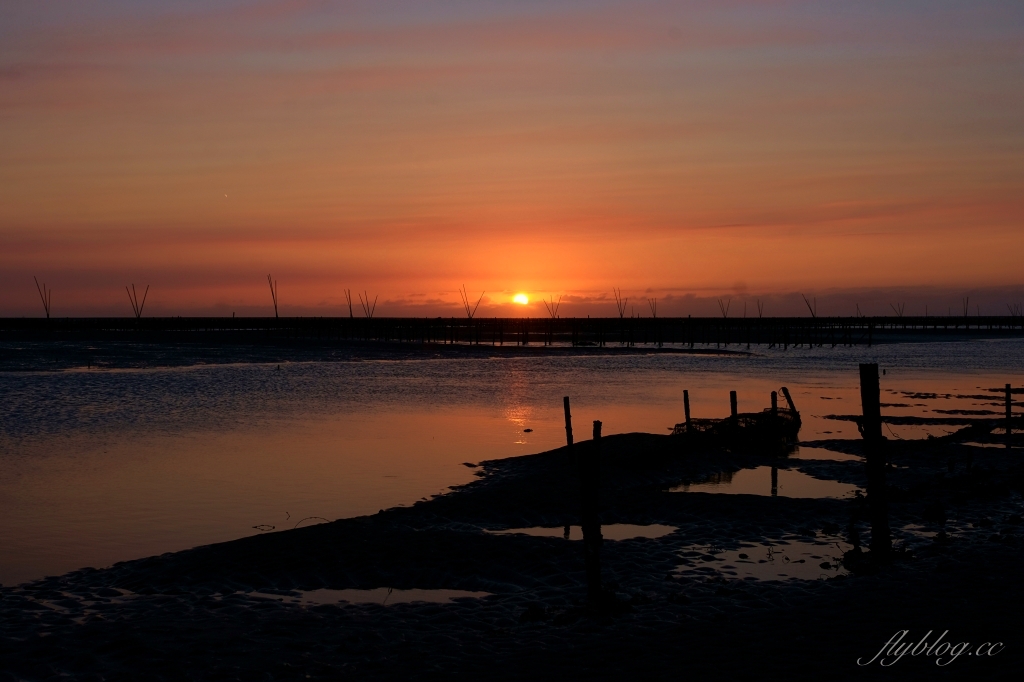 彰化芳苑｜芳苑濕地海空步道．紅樹林潮間帶濕地豐富生態，搭乘鐵牛車賞夕陽美景 @飛天璇的口袋