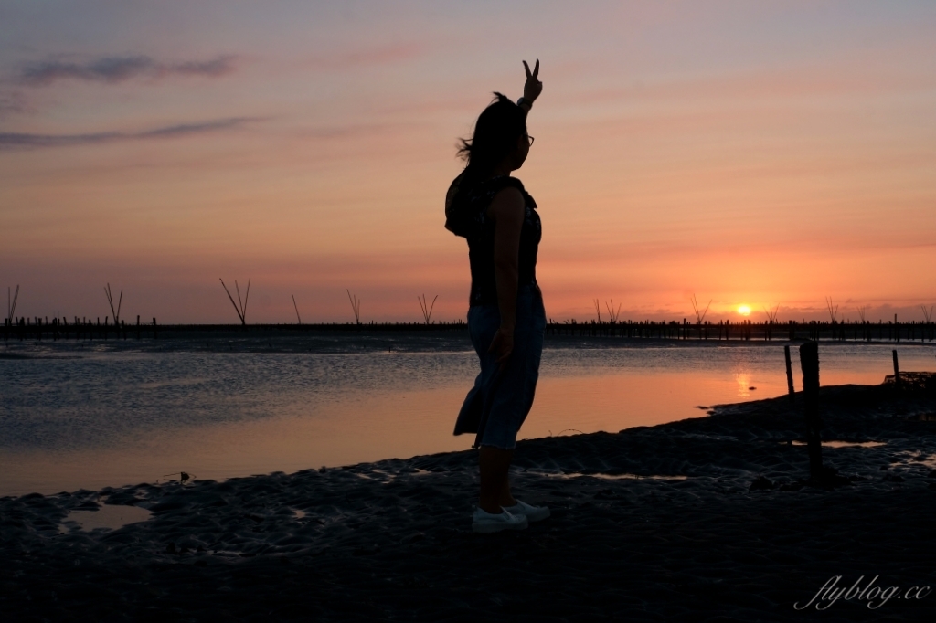 彰化芳苑｜芳苑濕地海空步道．紅樹林潮間帶濕地豐富生態，搭乘鐵牛車賞夕陽美景 @飛天璇的口袋