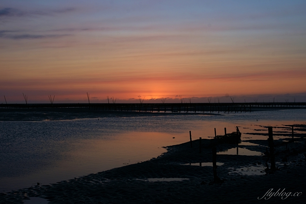 彰化芳苑｜芳苑濕地海空步道．紅樹林潮間帶濕地豐富生態，搭乘鐵牛車賞夕陽美景 @飛天璇的口袋