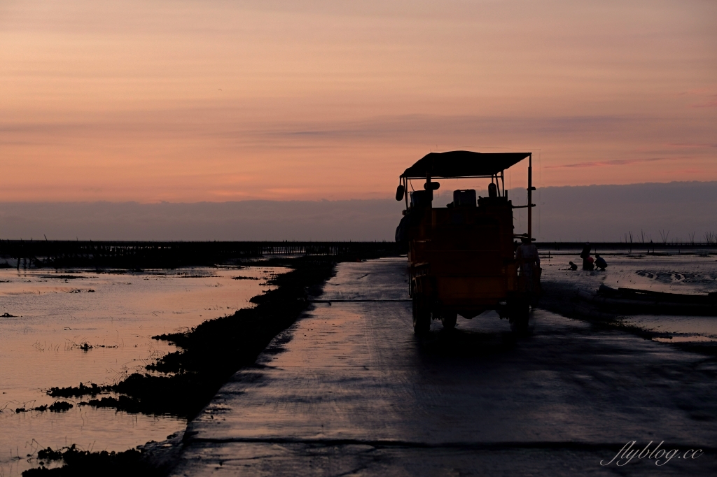 彰化芳苑｜芳苑濕地海空步道．紅樹林潮間帶濕地豐富生態，搭乘鐵牛車賞夕陽美景 @飛天璇的口袋
