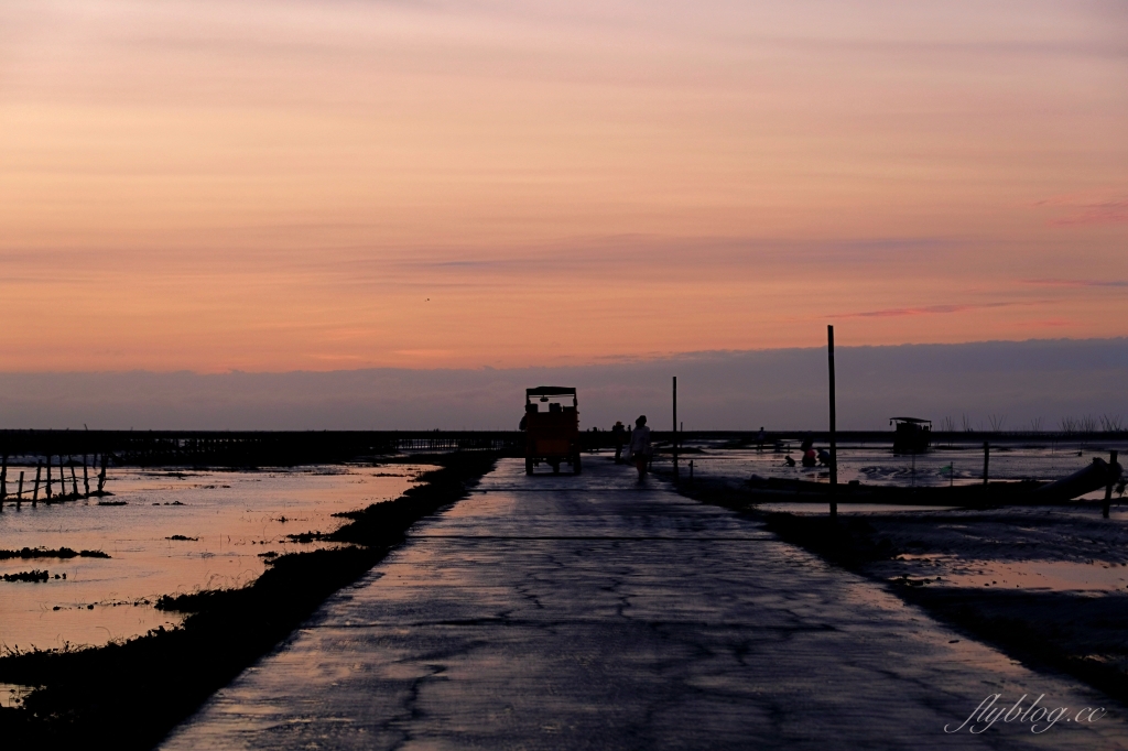 彰化芳苑｜芳苑濕地海空步道．紅樹林潮間帶濕地豐富生態，搭乘鐵牛車賞夕陽美景 @飛天璇的口袋