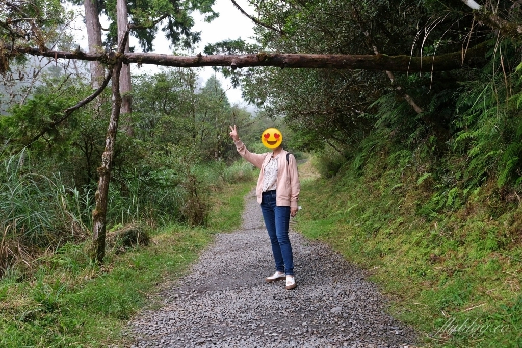宜蘭大同｜太平山翠峰湖，全球第一條最寂靜的森林山徑，台灣最大的高山湖泊翠峰湖 @飛天璇的口袋