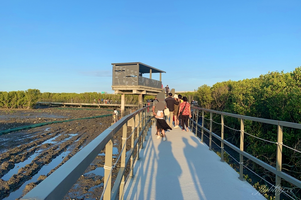 彰化芳苑｜芳苑濕地海空步道．紅樹林潮間帶濕地豐富生態，搭乘鐵牛車賞夕陽美景 @飛天璇的口袋