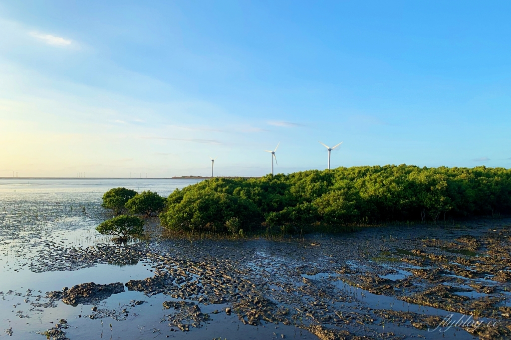 彰化芳苑｜芳苑濕地海空步道．紅樹林潮間帶濕地豐富生態，搭乘鐵牛車賞夕陽美景 @飛天璇的口袋