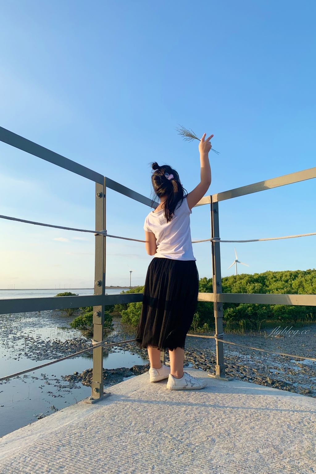 彰化芳苑｜芳苑濕地海空步道．紅樹林潮間帶濕地豐富生態，搭乘鐵牛車賞夕陽美景 @飛天璇的口袋
