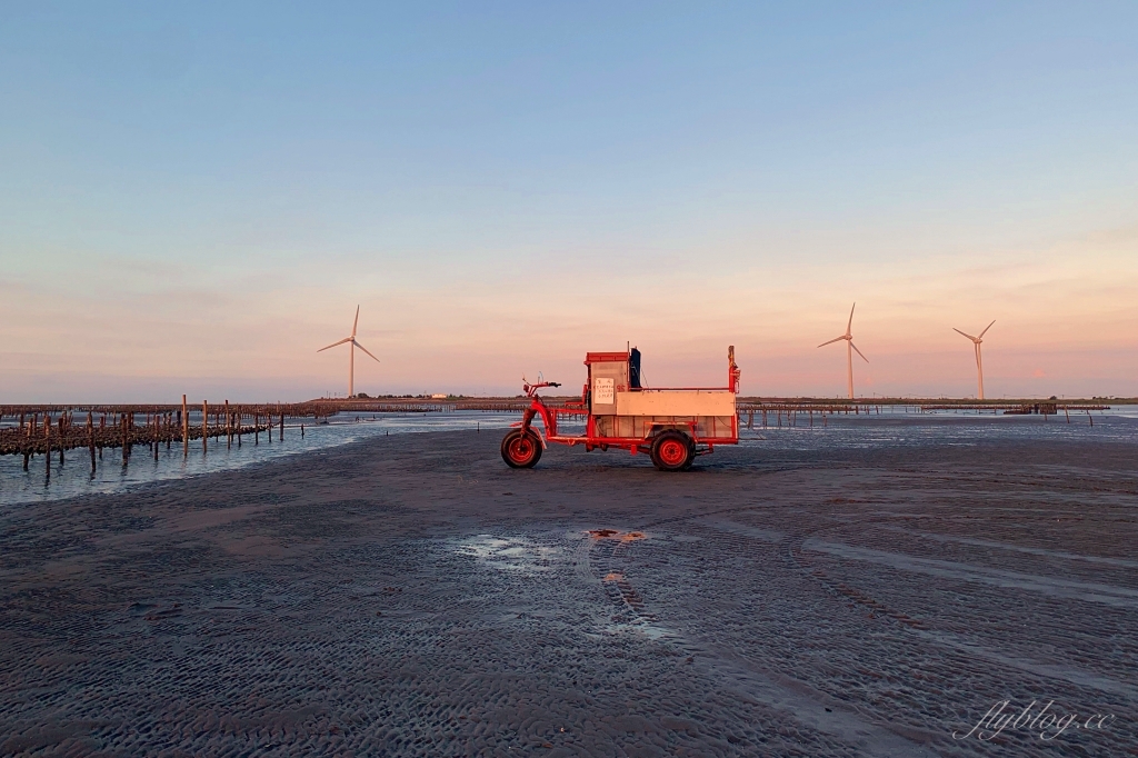 彰化芳苑｜芳苑濕地海空步道．紅樹林潮間帶濕地豐富生態，搭乘鐵牛車賞夕陽美景 @飛天璇的口袋