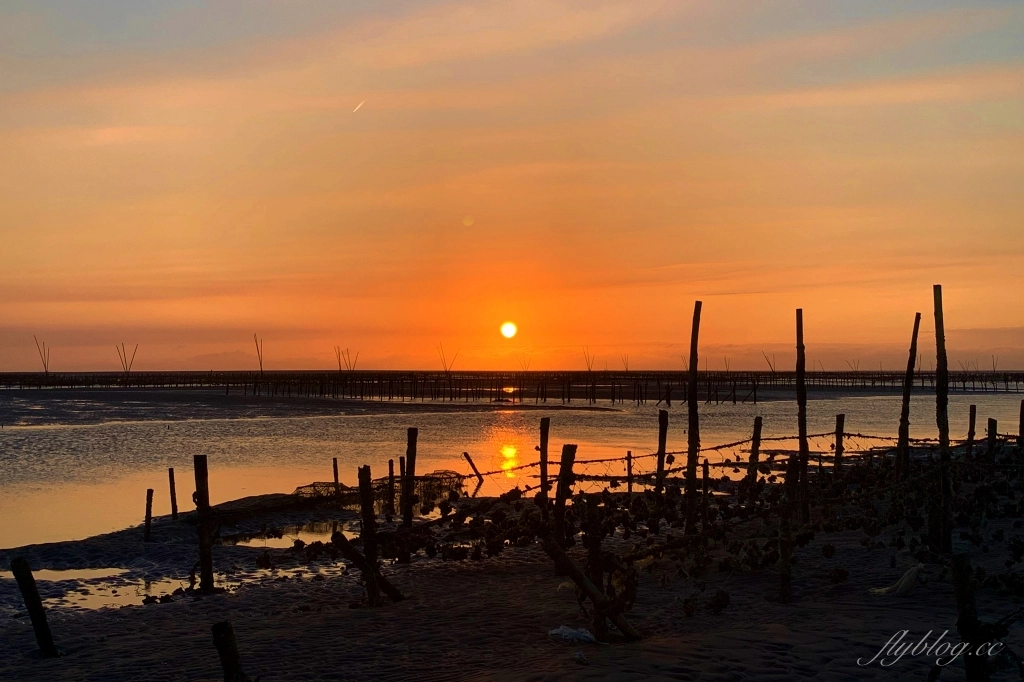 彰化芳苑｜芳苑濕地海空步道．紅樹林潮間帶濕地豐富生態，搭乘鐵牛車賞夕陽美景 @飛天璇的口袋