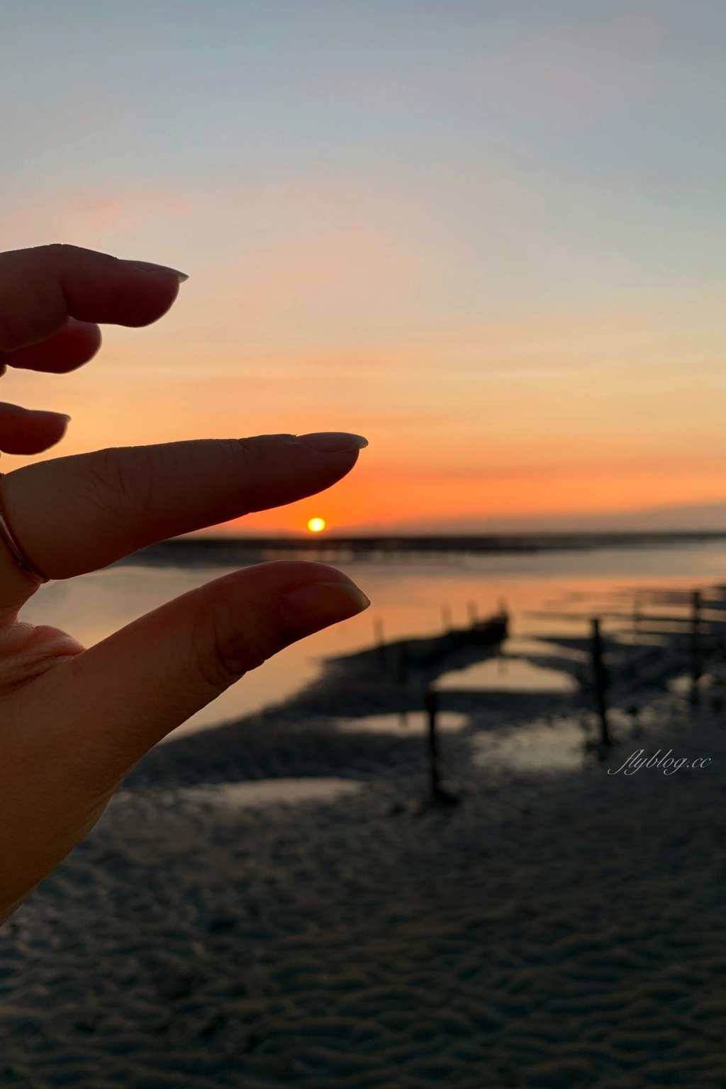 彰化芳苑｜芳苑濕地海空步道．紅樹林潮間帶濕地豐富生態，搭乘鐵牛車賞夕陽美景 @飛天璇的口袋