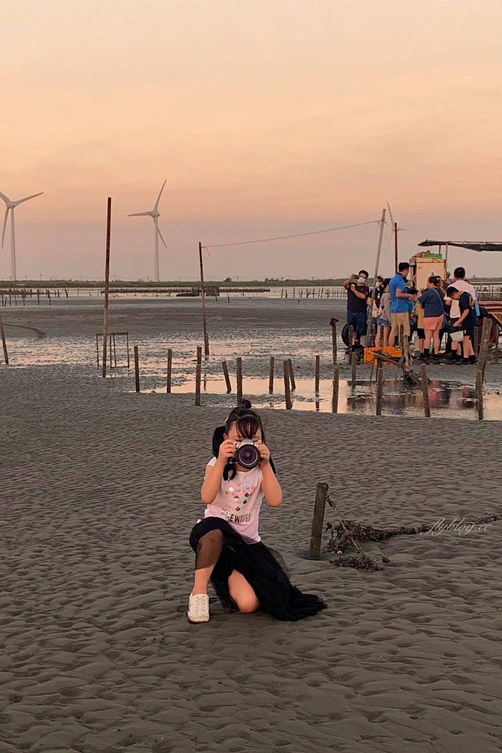 彰化芳苑｜芳苑濕地海空步道．紅樹林潮間帶濕地豐富生態，搭乘鐵牛車賞夕陽美景 @飛天璇的口袋