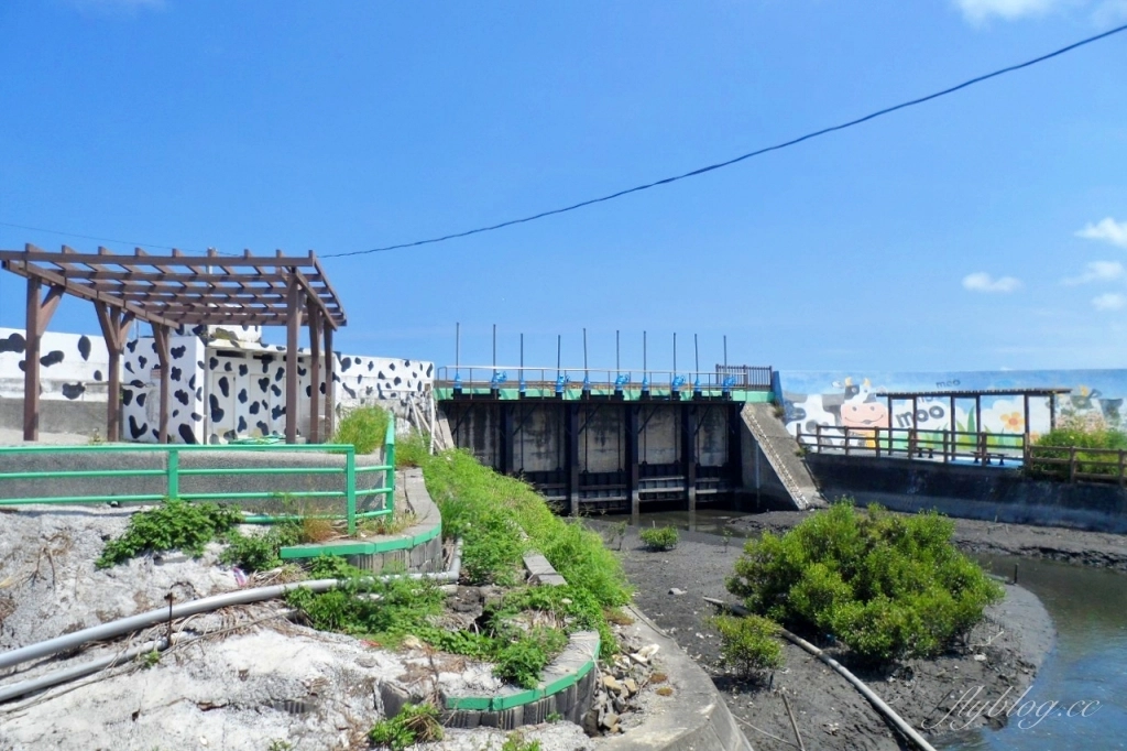 福寶溼地|彰化IG打卡景點,福寶溼地漂流木裝置藝術,美美向日葵花田觀賞夕陽 @飛天璇的口袋 福寶溼地|彰化IG打卡景點,福寶溼地漂流木裝置藝術,美美向日葵花田觀賞夕陽 @飛天璇的口袋